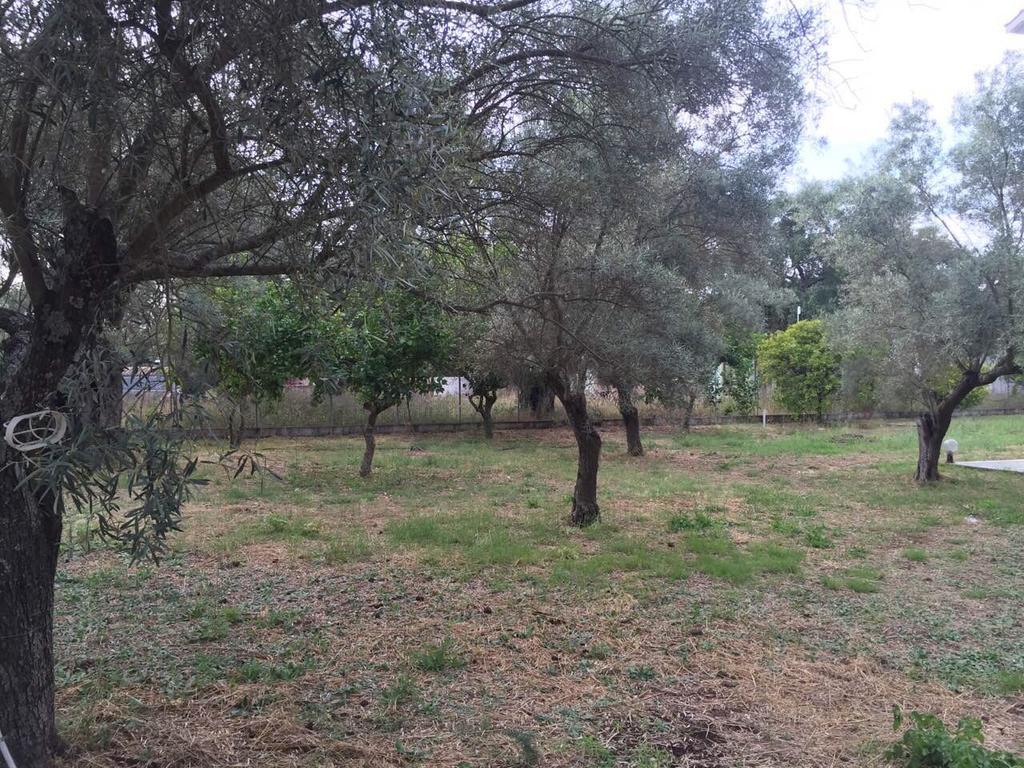 Sapfo Studios Lefkada Town Buitenkant foto
